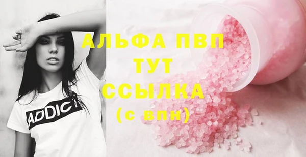 индика Коряжма