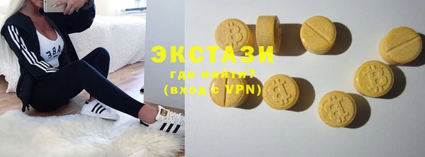 индика Коряжма