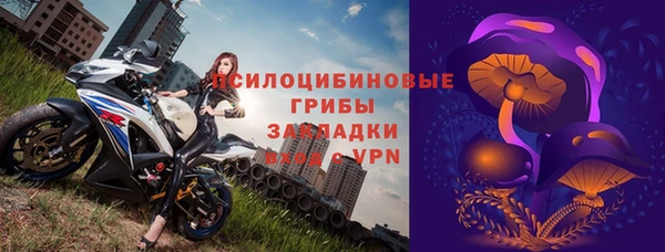 индика Корсаков